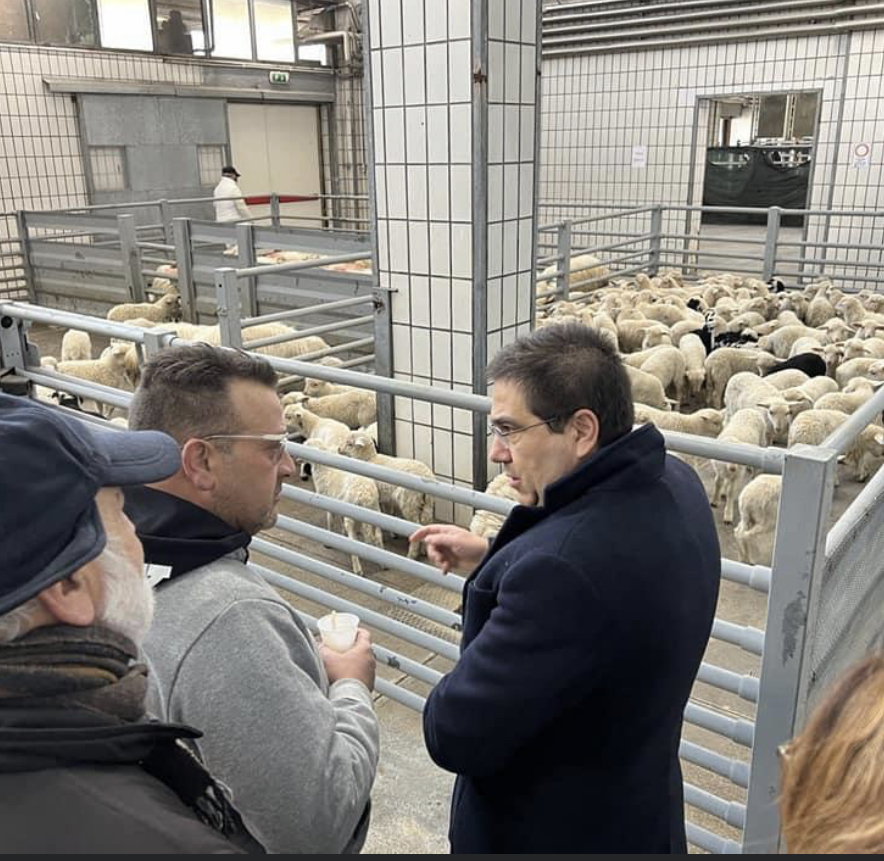 Alessio Damato In Visita Al Centro Carni Di Roma Lazio Politico